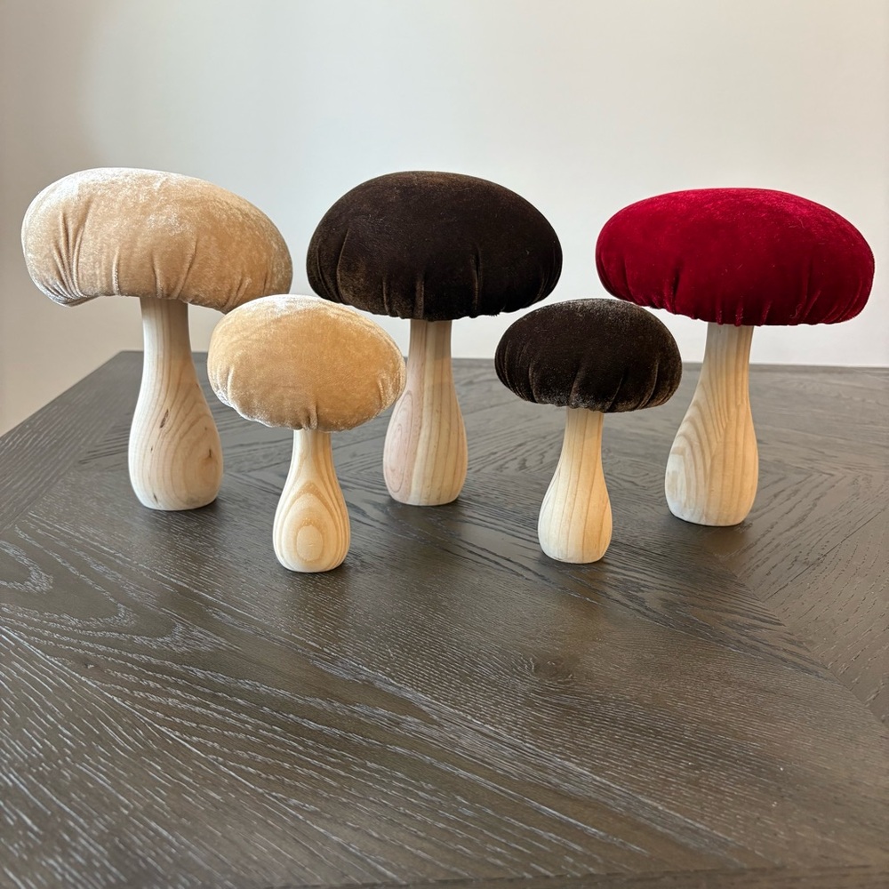 Flora Bunda Retro Velvet Wooden Mushroom Decor Set Of 5